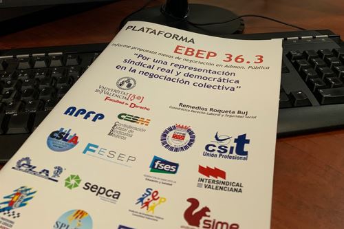 Plataforma EBEP 36.3