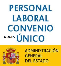 CAP p laboral IV CUAGE